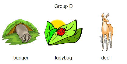 group-d