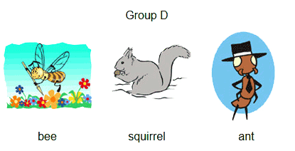 group-d