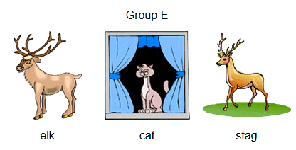 group-e