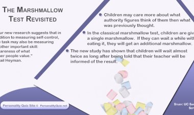 The marshmallow test revisited