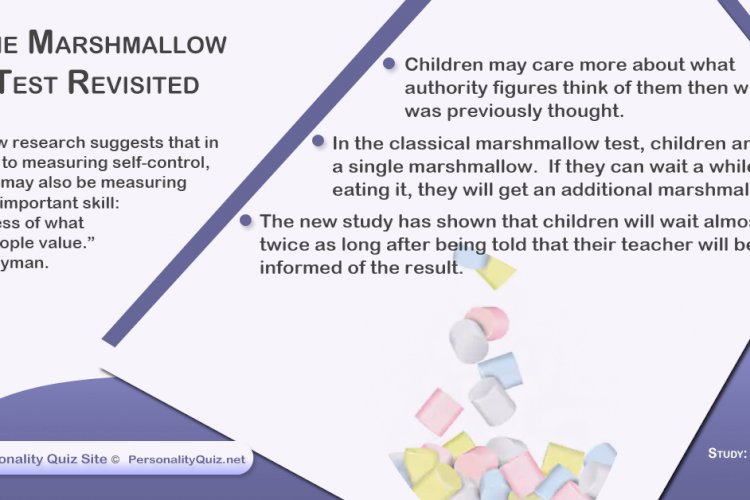 The marshmallow test revisited Academic studies and research into