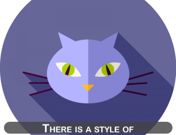 What your favorite cat says about your personality
