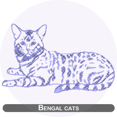 Bengal cats