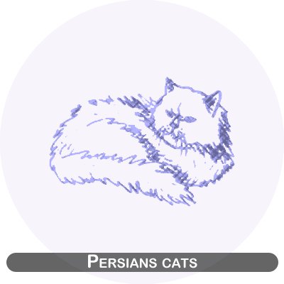 Persian cats